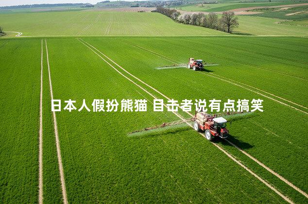 日本人假扮熊猫 目击者说有点搞笑